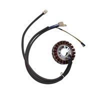 SxRakiO Bobine de Stator 2kw 22kw, adaptée au générateur d'onduleur Portable 1800W 2000W 120V 60hz