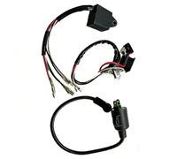SxRakiO Kit d'allumage par étincelle de générateur, Bobine d'allumage CDI, Fil magnétique adapté au Moteur à Essence ET650 ET950 63CC 2 Temps 600W-900W