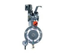 SxRakiO Kit de Conversion de carburateur de générateur d'inverseur de 19MM adapté for 6.5HP P19B-LPG 168F 170F 2-3KW 196CC 212CC