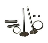 SxRakiO Kit de Guides et de retenue de sièges de vannes, Ensemble de 10 pièces de générateur adapté au Moteur refroidi à l'eau 4 Temps ZS1110 ZS1115