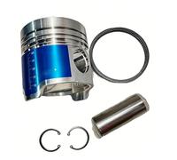 SxRakiO Kit de Piston de générateur avec Anneaux et Jeu de circlips for Petit Moteur refroidi à l'eau à 4 Temps à Injection directe ZS1105