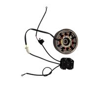 SxRakiO Kit de régulateur de Stator de Volant d'inertie de démarrage électrique de générateur 12V 10Amp Convient au Moteur GX200 196CC 212CC 65HP for la