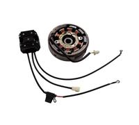 SxRakiO Kit de régulateur de Stator de Volant d'inertie Manuel, générateur 12V, 10amp, 6 aimants, adapté au Chargement ou à l'éclairage du Moteur GX200 GX160 196CC 212CC