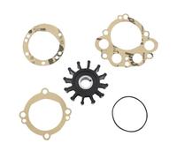 SxRakiO Kit de réparation de Turbine de Pompe à Eau de mer for modèles 10077K, 10077K-SHW, M10095G, N10360GX, 11764, 33100, 132-0375