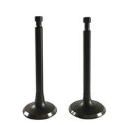 SxRakiO Kit de soupapes d'admission et d'échappement de générateur adapté for 168F 170F 55hp-7hp 196cc-212cc 2-3kw(168F 196CC Valves)