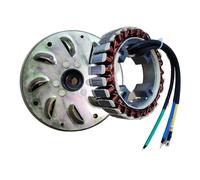 SxRakiO Kit de Stator et Rotor 5000 Watts à 27 pôles, utilisé for Le générateur à Courant continu, adapté au Moteur à Essence 225 230 avec Arbre de Sortie Conique de 19mm de 55MM(for 48V Model)