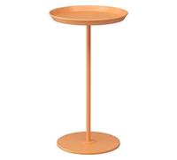 SXSCARKX Canapé, Table Basse de Salon en Fer Nordique INS, lit de Chambre, Table Ronde Mobile d'angle (C, 36 x 60 cm)