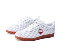 SXTYYH Chaussur Es D'arts Martiaux Maille Respirante Chaussures Kung Fu Légères Karaté Chaussures De Tai Chi Baskets for L'entraînement, La Salle De Sport(Blanc,35 EU)