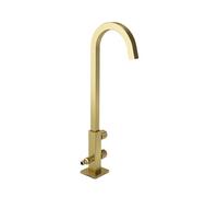 SXWYLZ Robinet D'Eau Froide Uniquement Robinet Extérieur Antigel avec Inverseur Robinets de Jardin Double Sortie Rotation à 360° Double Poignée,Or Brossé