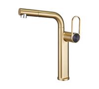 SXWYLZ Robinet Salle de Bain Extensible Haut Robinet de Lavabo Pivotant à 360° Mitigeur Salle de Bain Douche 2 Modes de Débit D'Eau Poignée Unique Eau Chaude et Froide,Or Brossé