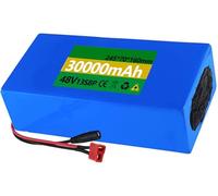SXYKXYDL Batterie Lithium 48 V pour vélo électrique - Options de 7 Ah à 30 Ah, Compatible avec Les Moteurs 500 W, 750 W et 1 000 W, Chargeur Inclus pour vélos et Scooters électriques.