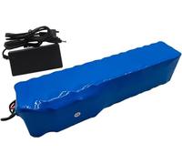 SXYKXYDL Batterie Lithium 60 V 20 Ah pour vélo électrique - Batterie Haute Performance avec BMS et Chargeur intégrés pour Moteurs 200-1200 W, Compatible avec Prise SM.