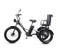 SXYKXYDL Tricycle électrique pour Adulte (7 Vitesses), Charge maximale de 159 kg, pneus Larges de 61 cm, Batterie Amovible 48 V/18 Ah, écran LCD, Phare, pour la Ville et la Montagne, Noir.