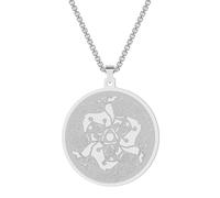 SYAVR Collier pendentif en acier inoxydable Totem celtique Animal cerf druide bijoux