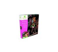 Sycomore Artissimo - Gm Scratch Art - Licornes