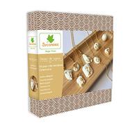 Au Sycomore – Kit de création de bijoux Atelier de Bijoux ADB002 – Ciment et Or