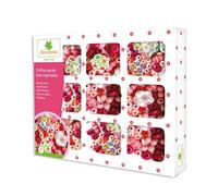 Sycomore Perles - Coffret Perles Bois Imprimees