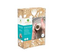 Sycomore Recharge Atelier Poterie Argile Blanche