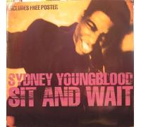 SYDNEY YOUNGBLOOD - SIT AND WAIT 12 INCH (12" SINGLE) UK CIRCA 1989 (Katalog-Nummer:YRT40)