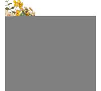 Syengery Modèle de Moteur - Modèles d'Expériences de Sciences Physiques | Jouets STEM Réalistes Éducatifs, Jeux d'apprentissage pour la Formation Collection Adulte