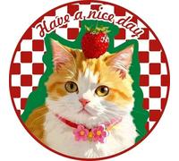 SYFFWZH Tapis Personnalisé pour Chat Chien Tapis de Sol Photo Décorations pour la Maison Cadeau pour Hommes Femmes Papa Maman