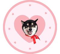SYFFWZH Tapis Personnalisé pour Chat Chien Tapis de Sol Photo Décorations pour la Maison Cadeau pour Hommes Femmes Papa Maman