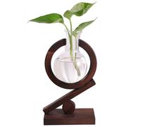 Syglawnd Terrariums de jardinières, Terrarium de Plantes avec Support en Bois, Station Propagation des Plantes, jardinière en Verre pour la Maison, Le Bureau, Le Jardin, la décoration Bureau Boho