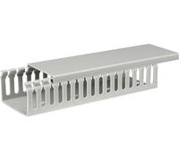 Sygonix SY-5045584 Goulotte de câblage (L x l x H) 2000 x 65 x 45 mm 1 pc(s) gris
