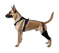 SYH&AQYE Attelles de Jambe de Chien for Jambe arrière, genouillère de Chien, Protecteur de Pattes arrière de Chien de Compagnie, Manchon de récupération de Jambe arrière for arrêter de lécher(M)
