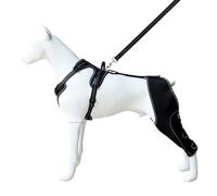 SYH&AQYE Chaussettes for Chien for éviter de lécher Les Pattes, Manchon de Jambe arrière for Chien for arrêter de lécher, Pantalon de récupération antidérapant réglable for la guérison des Jambes(XL)