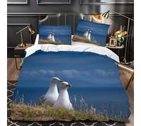 Syhibaba Housse de Couette 220x240 3 Pièces Mouette Blanche Parure de Lit 220x240 Adulte, Imprimée Housse de Couette 2 Personnes en Microfibre avec Fermeture Éclair et 2 Taies d'oreiller 65x65 cm