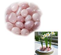 Syiyunran Quartz Rose Set De Pierres D'eau Cristal Roche - Rose, 100 Grammes, Pierre D'apaisement, Peut être Utilisé Comme Fontaine pour les étangs, Aquariums, Pots Plantes Autres Paysages