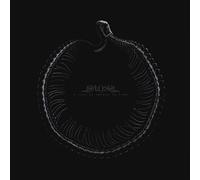 Sylosis - A Sign Of Things To Come (Limited Edition) (White Coloured) (LP)