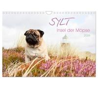 Sylt - Insel der Möpse (Wandkalender 2026 DIN A4 quer), CALVENDO Monatskalender: Sylter Sehenswürdigkeiten aus der Sicht der Hunde