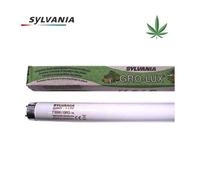 Sylvania 0000043 F 14W T8 Grolux