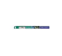 Sylvania 0000719 Tuyau Fluorescent f18t8 18w t8 Md Coral Étoiles Actinique