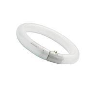 Sylvania Ampoule Circline G10q Fc32w 840 Blanc Froid
