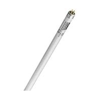 SYLVANIA CORALSTAR FH 24W DIAM 16MM T5 550mm (dew)