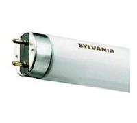 Sylvania SYL0001479 Tube Fluorescent 36W g13 1200mm 4000K36 WBlanc