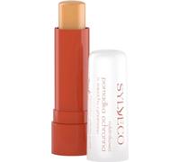 Sylveco Cinnamon Sea Buckthorn Lip Balm - 4,60 g