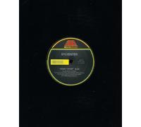 Sylvester - Do Ya Wanna Funk