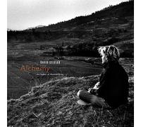 SYLVIAN - Alchemy An Index Of Possibilities - Vinyl - E123z