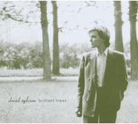 Sylvian, David - Brilliant Trees - Edition deluxe collector remasterisée