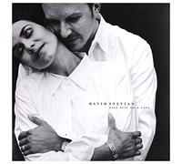 Sylvian David - Dead Bees on Cake
