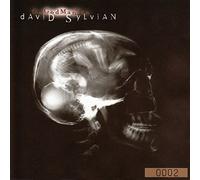 Sylvian, David - God Man