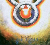 David Sylvian – Gone to Earth – Import