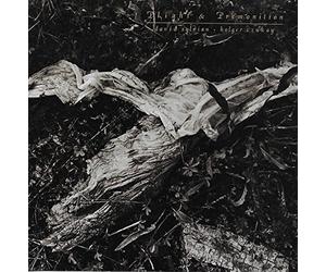 SYLVIAN, DAVID / HOLGER CZUKAY - Plight and Premonition [Import]