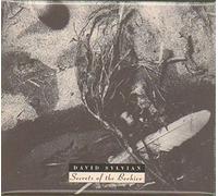 Sylvian, David - Secret Of The Beehive - Edition deluxe collector remasterisée