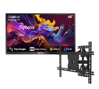 SYLVOX 65" TV Extérieur & Support Mural pour Téléviseur- QLED 4K UHD 2000Nits, Smart Google Outdoor TV Étanche IP55, Google Assistant - pour Pool/Jardins/Terrasse (Pool Pro 2.0 QLED)