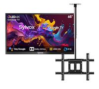 SYLVOX 65" TV Extérieur & Support Plafond à écran - QLED 4K UHD 2000Nits, Smart Google Outdoor TV Étanche IP55, Google Assistant - pour Pool/Jardins/Terrasse (Pool Pro 2.0 QLED)